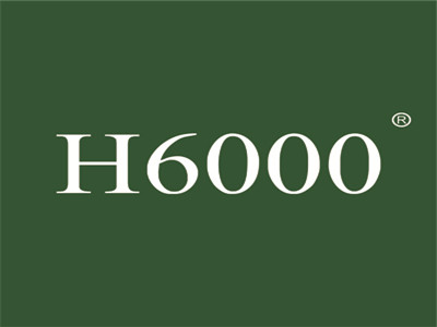 H6000